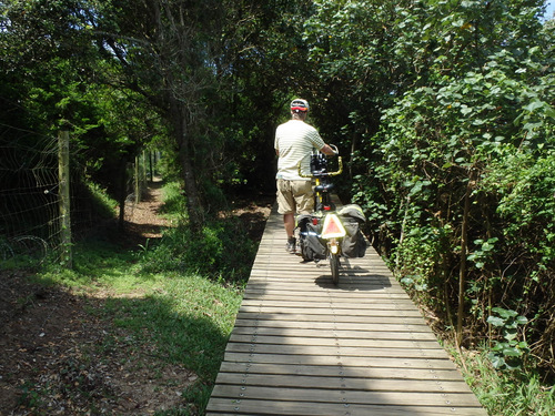 Dennis walked the Bee.